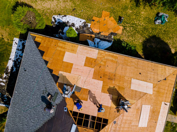 Best Storm Damage Roof Repair  in Bolivar, TN